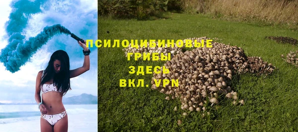 сатива Белокуриха