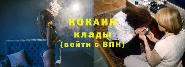 сатива Белокуриха