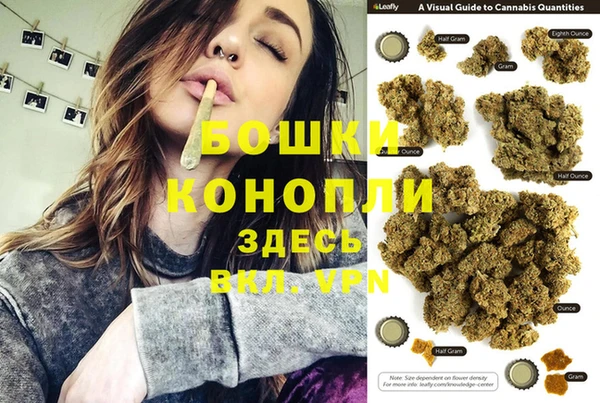 сатива Белокуриха