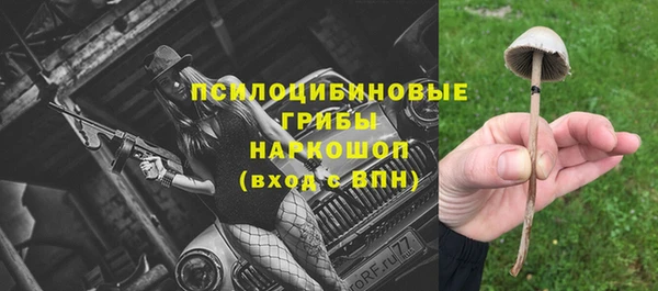 apvp Беломорск