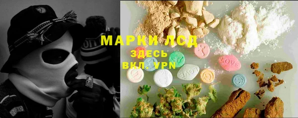 сатива Белокуриха