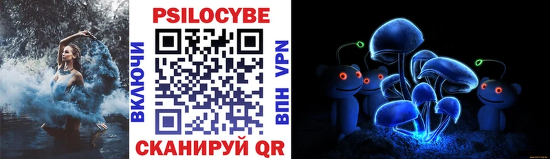 где найти гидра Псилоцибиновые грибы Psilocybine cubensis Шацк